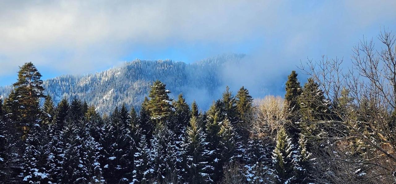 Mountain Resort Gantiadi Borjomi Esterno foto