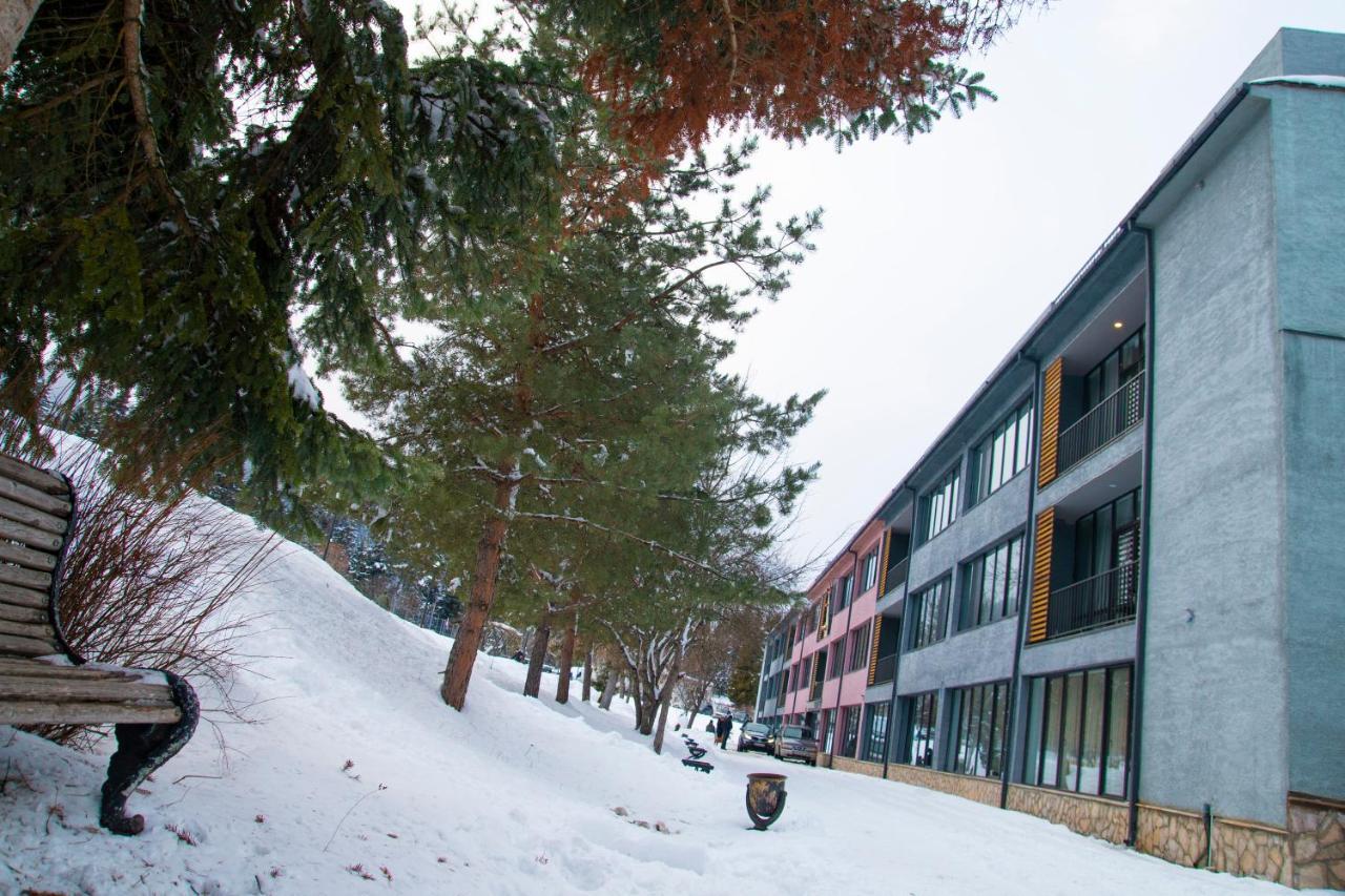 Mountain Resort Gantiadi Borjomi Esterno foto